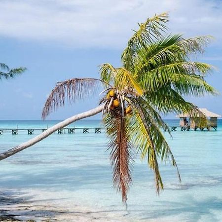 Sunset Hill Lodge Bora Bora Exterior foto